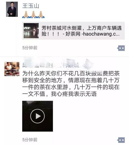 最新爆料热门视频,最新爆料背后的惊人真相  第3张