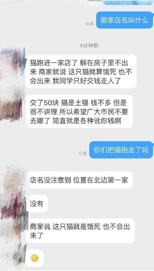 保定宠物店爆料视频,揭秘宠物行业背后真相  第3张