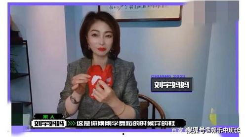 娟宝爆料视频完整版,揭秘娱乐圈幕后真相  第3张